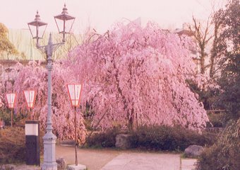 Kazue Machi Ryokusui-En