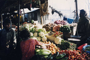 nepal